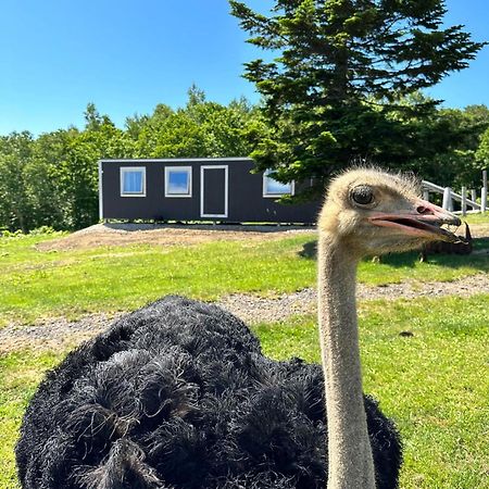 Margo'S Garden Farmstay, Kiroro 赤井川村 エクステリア 写真